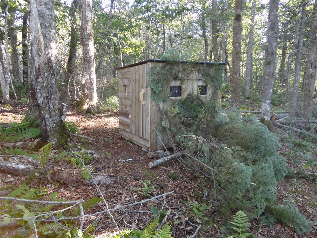 Deer Huts Deer Hunting Nova Scotia Hunting